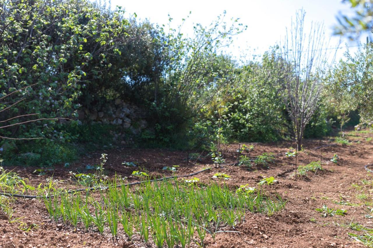 Eden'S Garden Skouloufia Vila Exterior foto