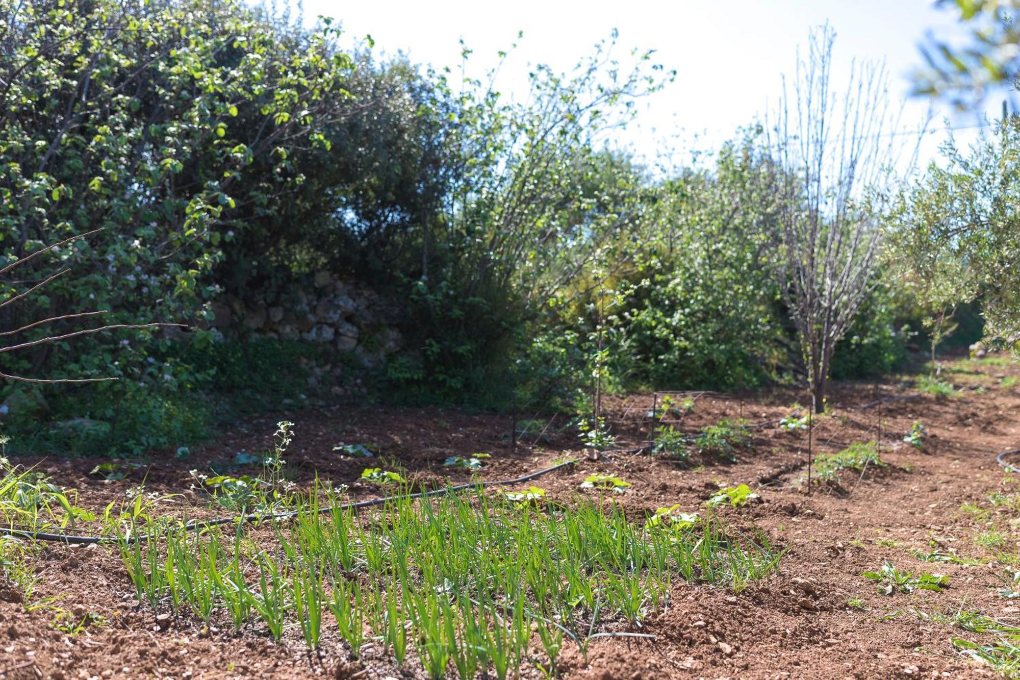Eden'S Garden Skouloufia Vila Exterior foto